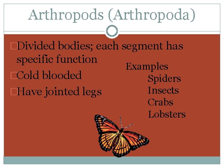 Arthropods (Arthropoda) �Divided bodies; each segment has specific function �Cold blooded �Have jointed legs