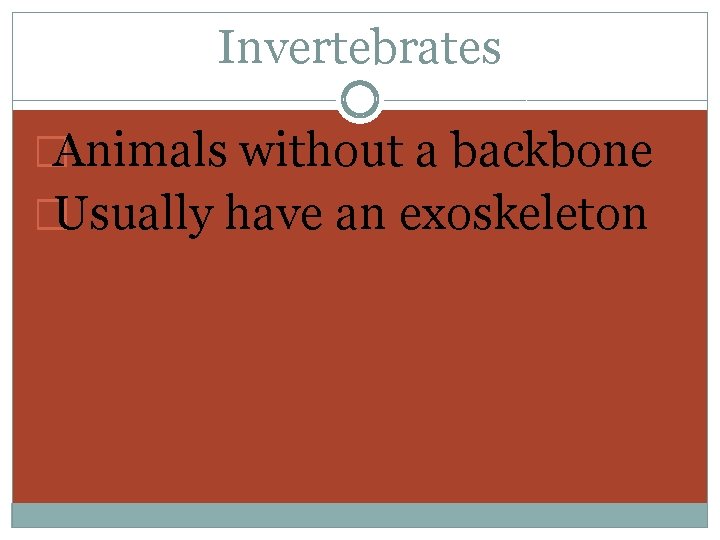 Invertebrates �Animals without a backbone �Usually have an exoskeleton 