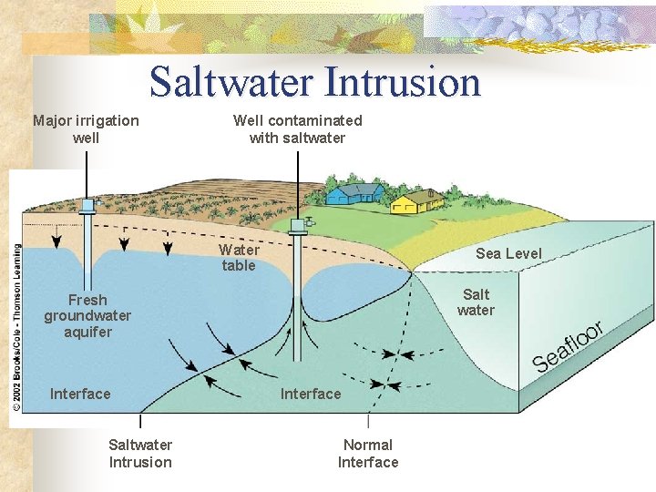 Saltwater Intrusion Major irrigation well Well contaminated with saltwater Water table Sea Level Salt