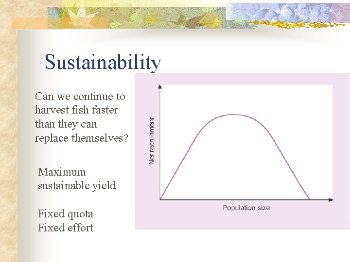 Sustainability Can we continue to harvest fish faster than they can replace themselves? Maximum