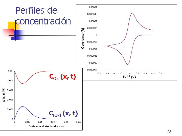 Perfiles de concentración COx (x, t) CRed (x, t) 23 