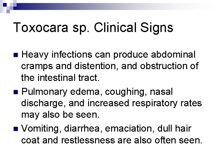 Toxocara sp. Clinical Signs Heavy infections can produce abdominal cramps and distention, and obstruction