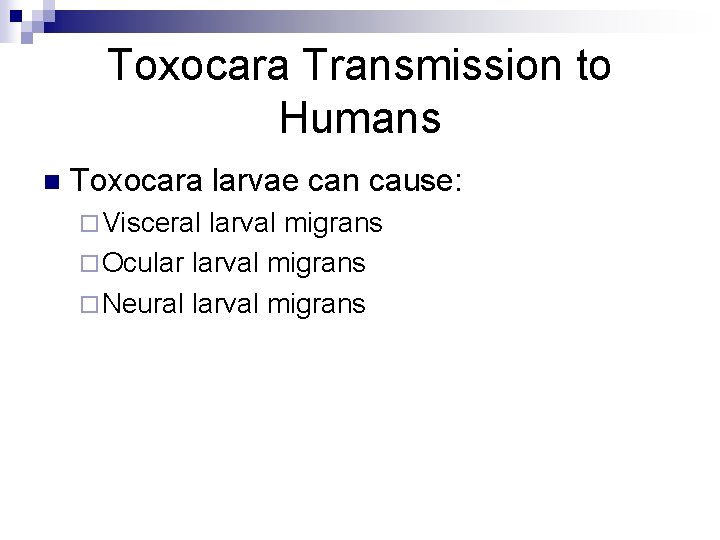 Toxocara Transmission to Humans n Toxocara larvae can cause: ¨ Visceral larval migrans ¨