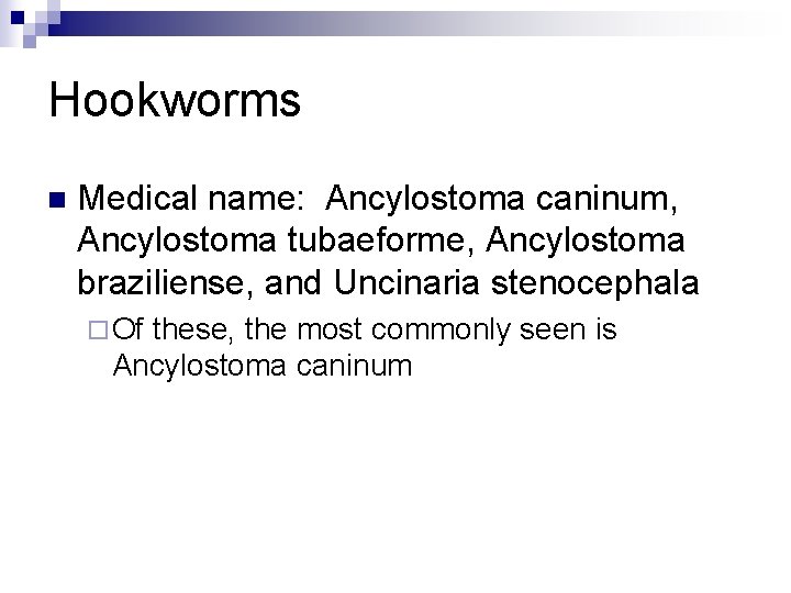 Hookworms n Medical name: Ancylostoma caninum, Ancylostoma tubaeforme, Ancylostoma braziliense, and Uncinaria stenocephala ¨