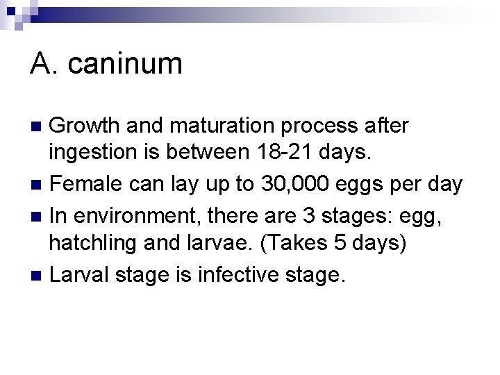 A. caninum Growth and maturation process after ingestion is between 18 -21 days. n