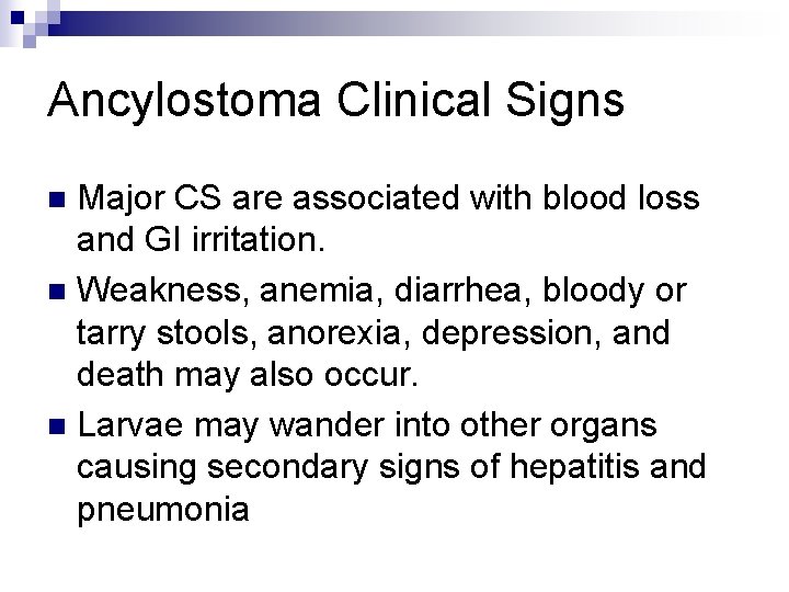 Ancylostoma Clinical Signs Major CS are associated with blood loss and GI irritation. n