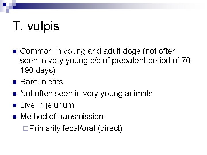 T. vulpis n n n Common in young and adult dogs (not often seen