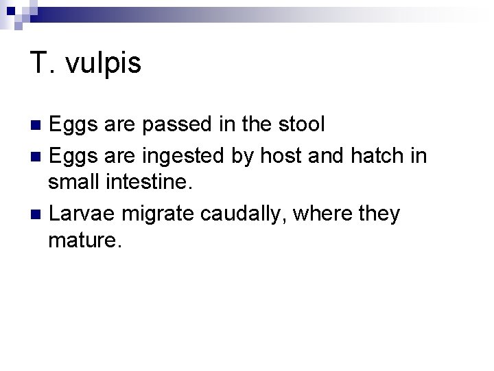 T. vulpis Eggs are passed in the stool n Eggs are ingested by host