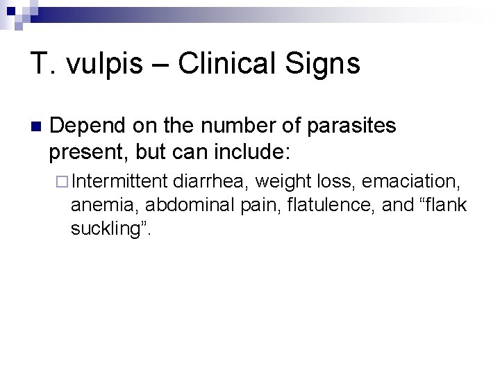 T. vulpis – Clinical Signs n Depend on the number of parasites present, but