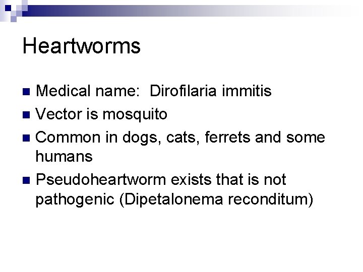 Heartworms Medical name: Dirofilaria immitis n Vector is mosquito n Common in dogs, cats,