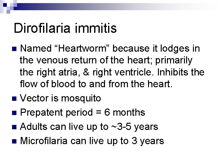 Dirofilaria immitis Named “Heartworm” because it lodges in the venous return of the heart;