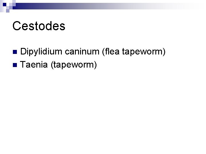 Cestodes Dipylidium caninum (flea tapeworm) n Taenia (tapeworm) n 