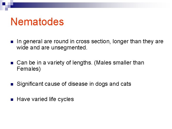 Nematodes n In general are round in cross section, longer than they are wide