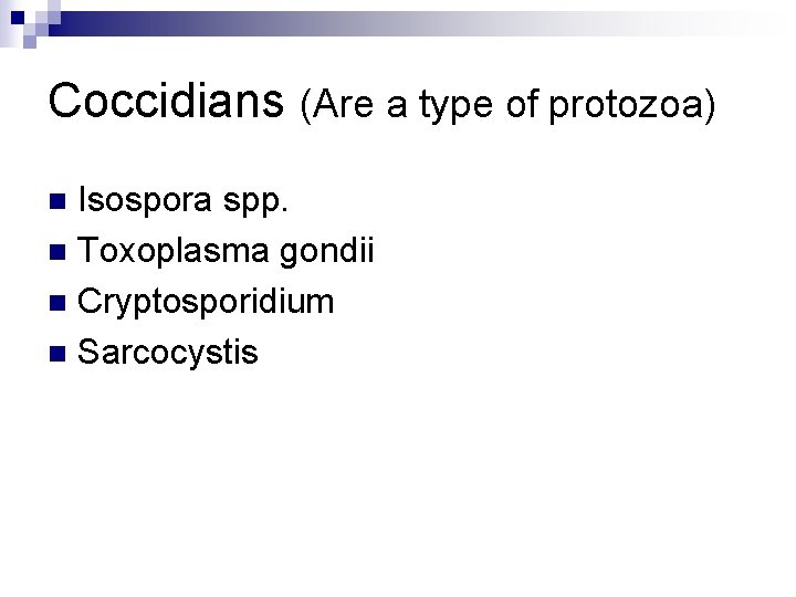 Coccidians (Are a type of protozoa) Isospora spp. n Toxoplasma gondii n Cryptosporidium n