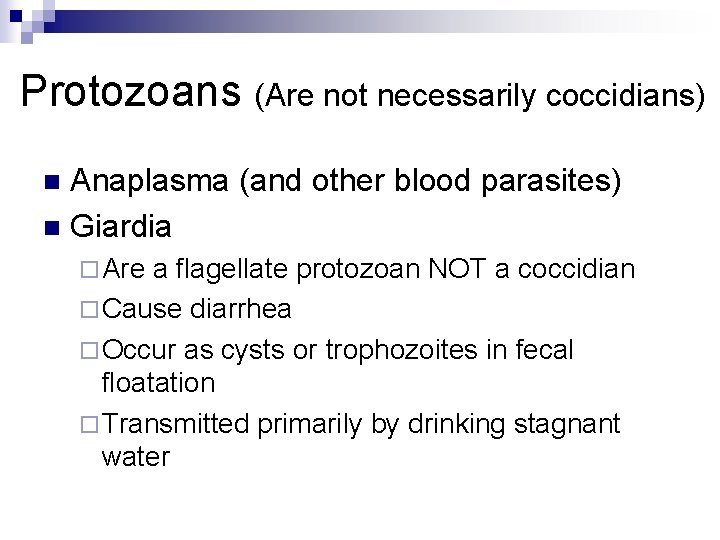 Protozoans (Are not necessarily coccidians) Anaplasma (and other blood parasites) n Giardia n ¨
