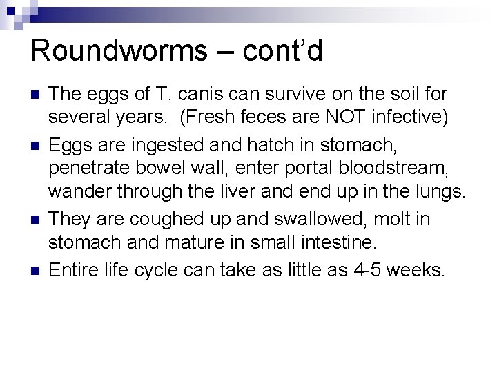 Roundworms – cont’d n n The eggs of T. canis can survive on the