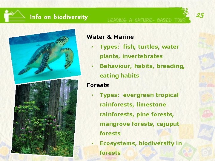 25 Info on biodiversity Water & Marine • Types: fish, turtles, water plants, invertebrates