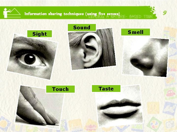 9 Information sharing techniques (using five senses) Sound Smell Sight Touch Taste 