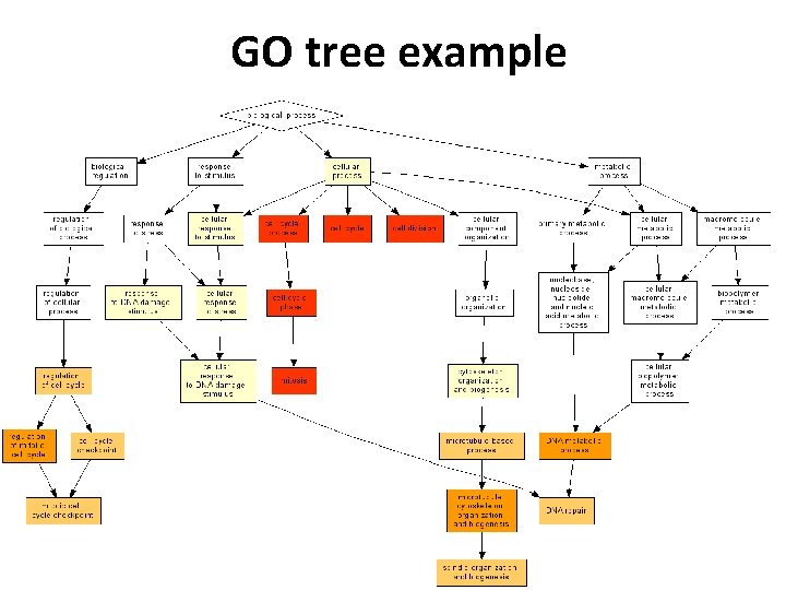 GO tree example 22 