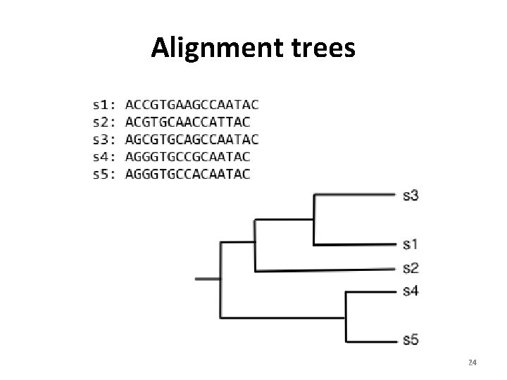 Alignment trees 24 