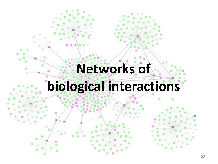 Networks of biological interactions 53 