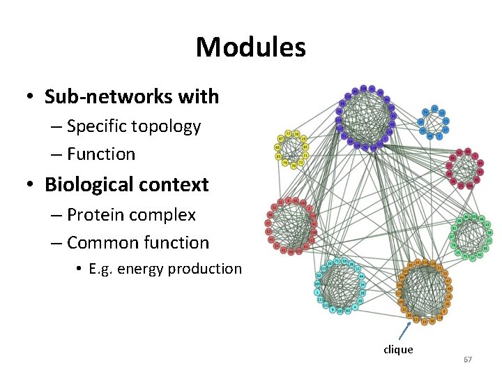Modules • Sub-networks with – Specific topology – Function • Biological context – Protein