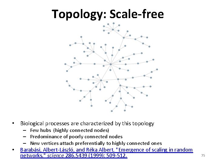 Topology: Scale-free • Biological processes are characterized by this topology • – Few hubs