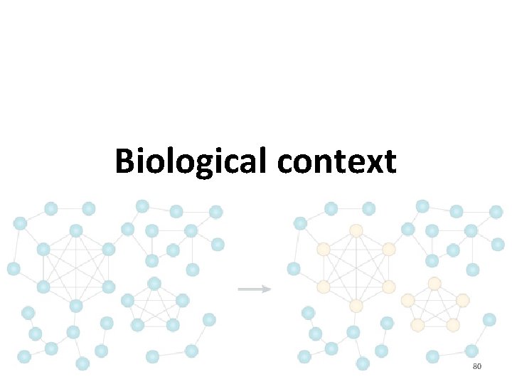 Biological context 80 