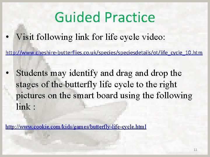 Guided Practice • Visit following link for life cycle video: http: //www. cheshire-butterflies. co.