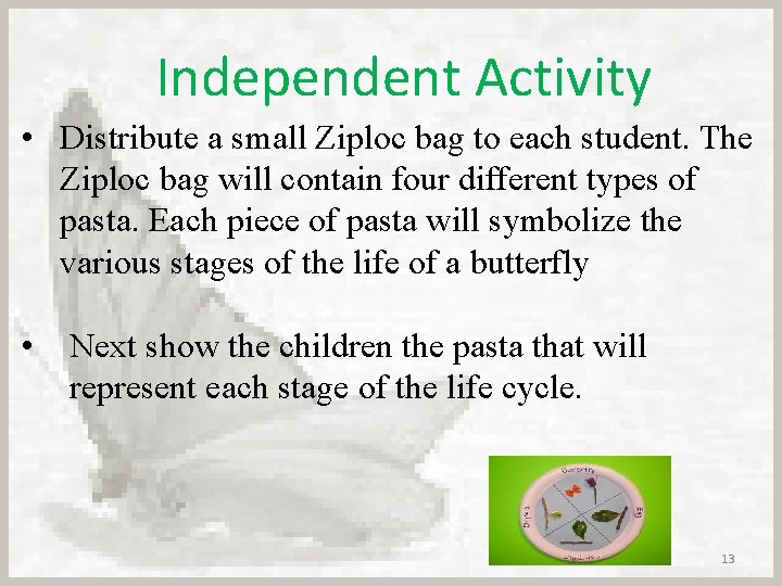 Independent Activity • Distribute a small Ziploc bag to each student. The Ziploc bag