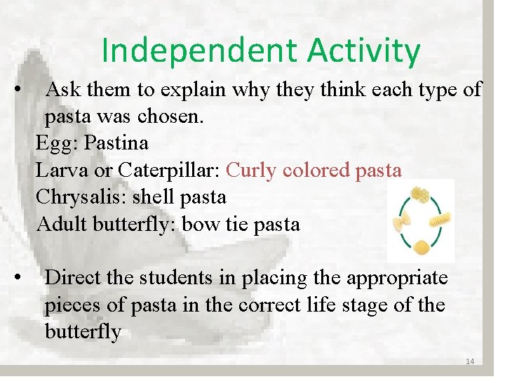 Independent Activity • Ask them to explain why they think each type of pasta