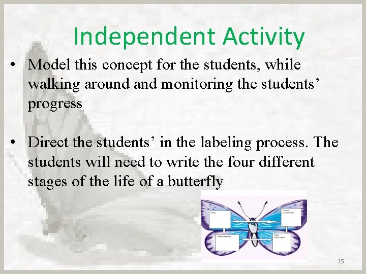 Independent Activity • Model this concept for the students, while walking around and monitoring