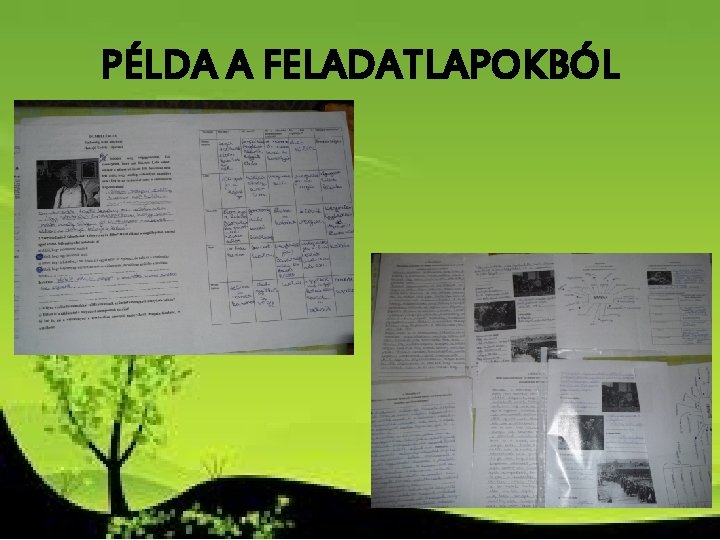PÉLDA A FELADATLAPOKBÓL PÉLDA A FELADATLAPOKBÓL