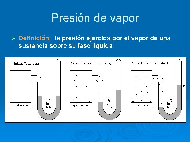 Presión de vapor Ø Definición: la presión ejercida por el vapor de una sustancia