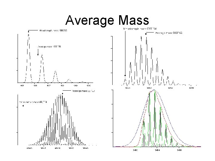 Average Mass 