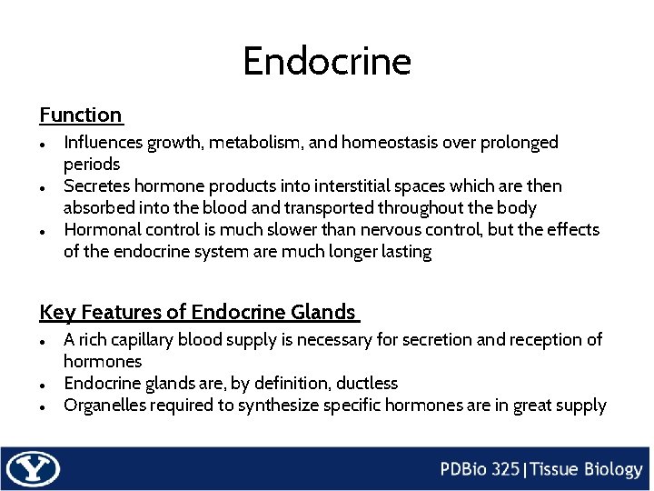 Endocrine Function ● ● ● Influences growth, metabolism, and homeostasis over prolonged periods Secretes