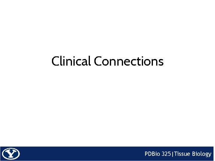 Clinical Connections 