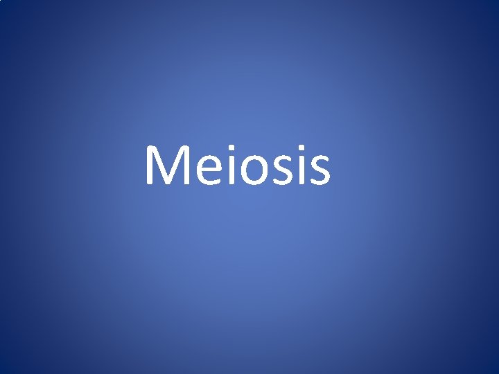 Meiosis 