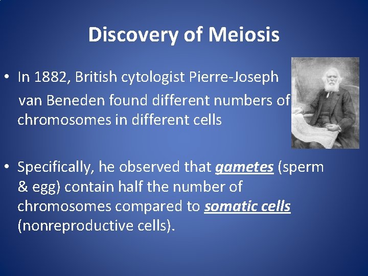 Discovery of Meiosis • In 1882, British cytologist Pierre-Joseph van Beneden found different numbers