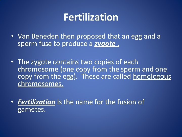 Fertilization • Van Beneden then proposed that an egg and a sperm fuse to
