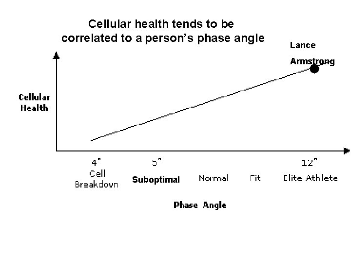 Cellular health tends to be correlated to a person’s phase angle Lance Armstrong Suboptimal