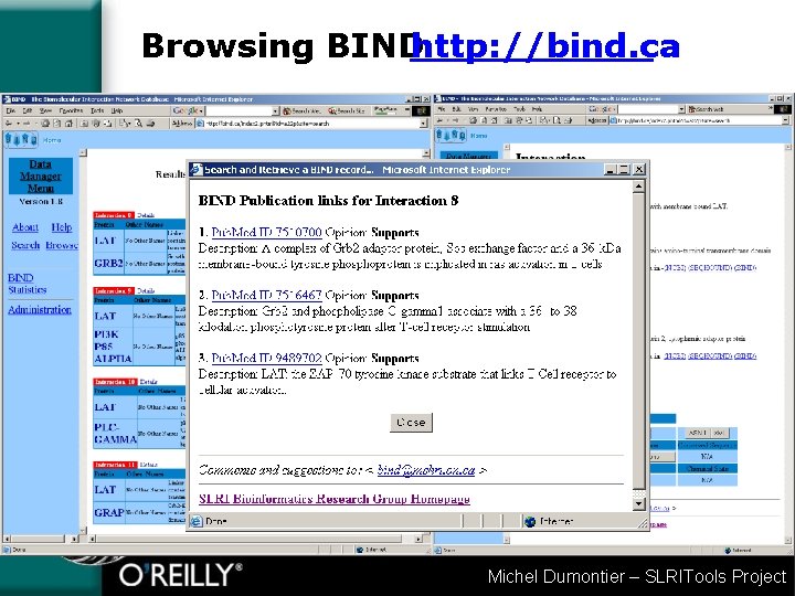 Browsing BINDhttp: //bind. ca Michel Dumontier – SLRITools Project 