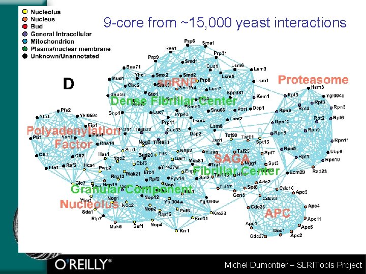 9 -core from ~15, 000 yeast interactions Dense Fibrillar Center Granular Component Michel Dumontier