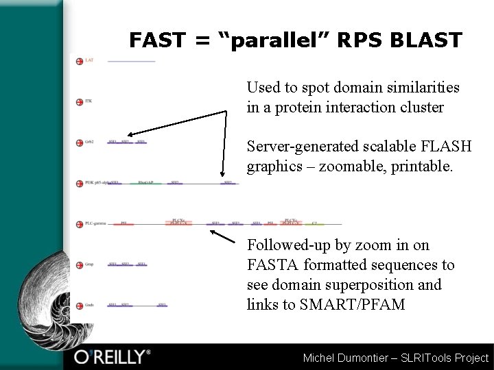 FAST = “parallel” RPS BLAST Used to spot domain similarities in a protein interaction