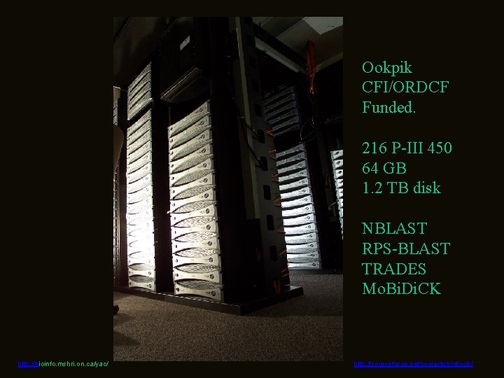 Ookpik CFI/ORDCF Funded. 216 P-III 450 64 GB 1. 2 TB disk NBLAST RPS-BLAST