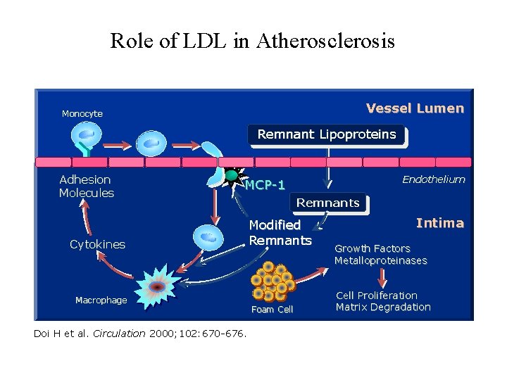 Role of LDL in Atherosclerosis Vessel Lumen Monocyte Remnant Lipoproteins Adhesion Molecules Endothelium MCP-1