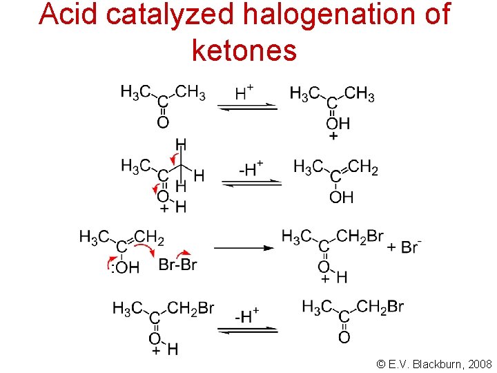 Acid catalyzed halogenation of ketones © E. V. Blackburn, 2008 