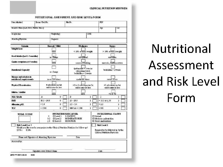 Nutritional Assessment and Risk Level Form 