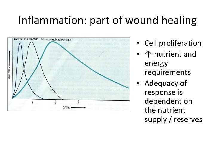 Inflammation: part of wound healing • Cell proliferation • ↑ nutrient and energy requirements