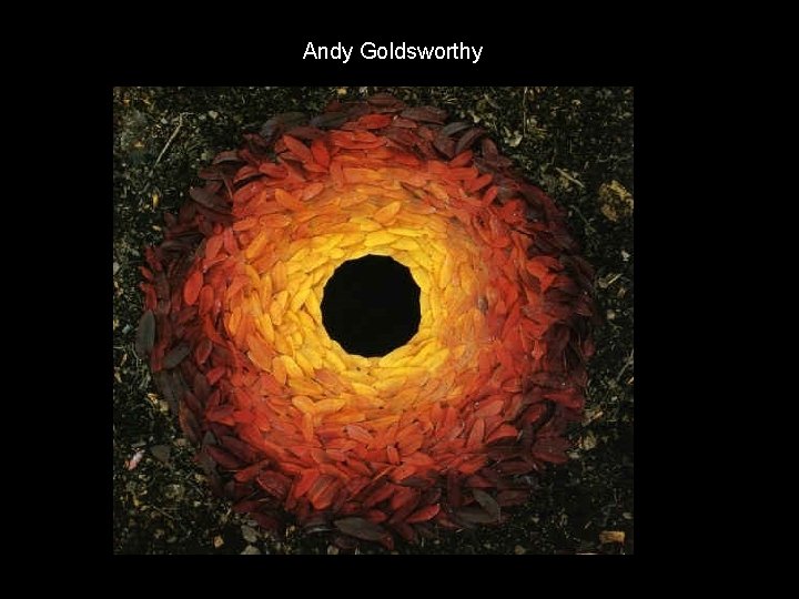 Andy Goldsworthy 